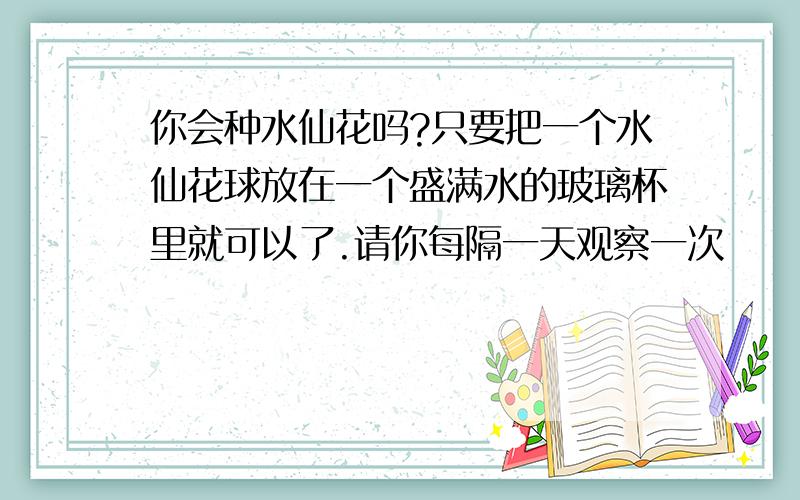 你会种水仙花吗?只要把一个水仙花球放在一个盛满水的玻璃杯里就可以了.请你每隔一天观察一次