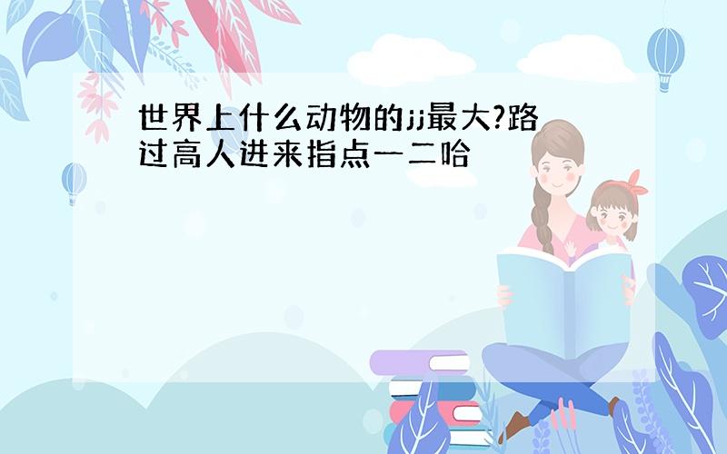 世界上什么动物的jj最大?路过高人进来指点一二哈