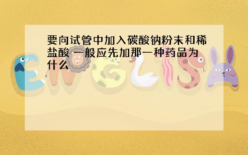 要向试管中加入碳酸钠粉末和稀盐酸 一般应先加那一种药品为什么