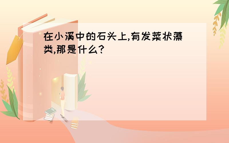 在小溪中的石头上,有发菜状藻类,那是什么?