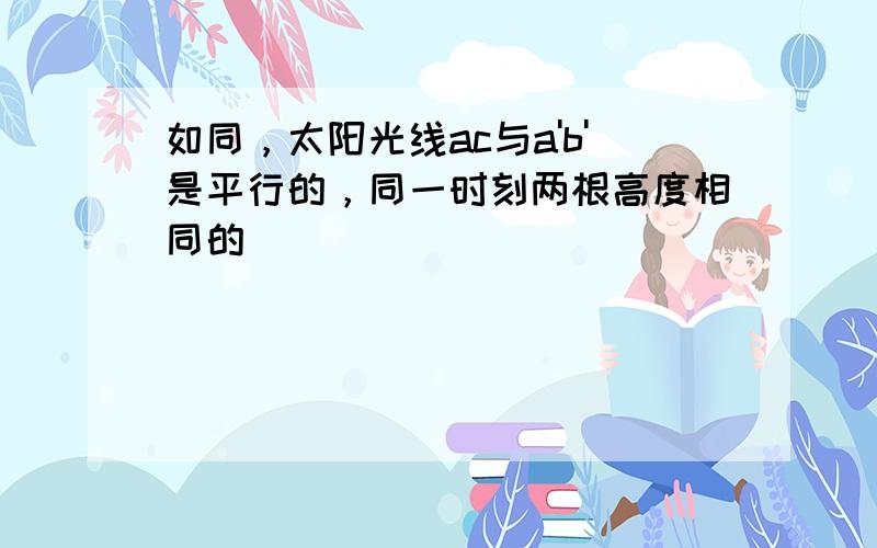 如同，太阳光线ac与a'b'是平行的，同一时刻两根高度相同的