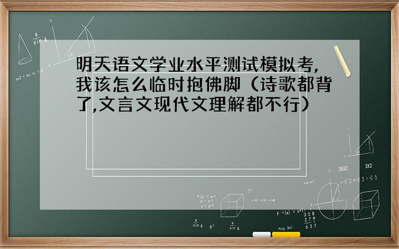 明天语文学业水平测试模拟考,我该怎么临时抱佛脚（诗歌都背了,文言文现代文理解都不行）