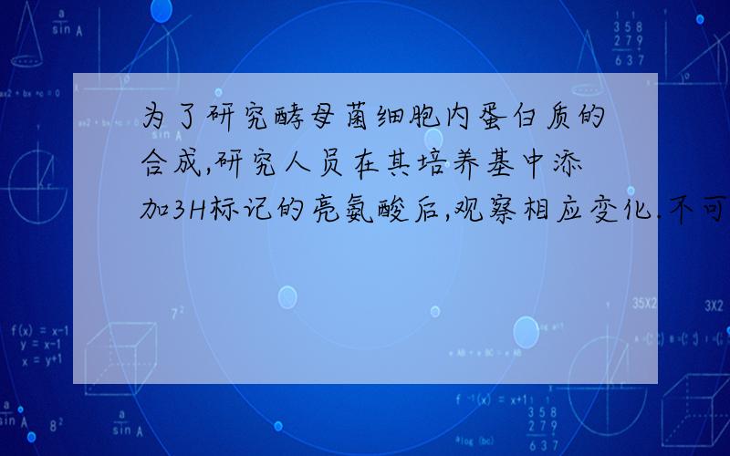 为了研究酵母菌细胞内蛋白质的合成,研究人员在其培养基中添加3H标记的亮氨酸后,观察相应变化.不可能!出现的结果是