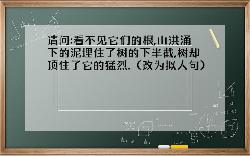 请问:看不见它们的根,山洪涌下的泥埋住了树的下半截,树却顶住了它的猛烈.（改为拟人句）