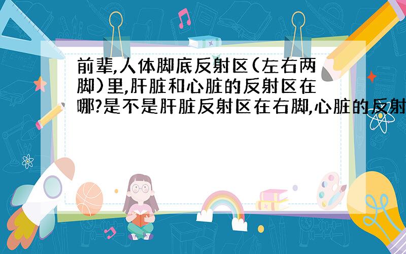 前辈,人体脚底反射区(左右两脚)里,肝脏和心脏的反射区在哪?是不是肝脏反射区在右脚,心脏的反射在左脚呀?右脚没有心脏的反