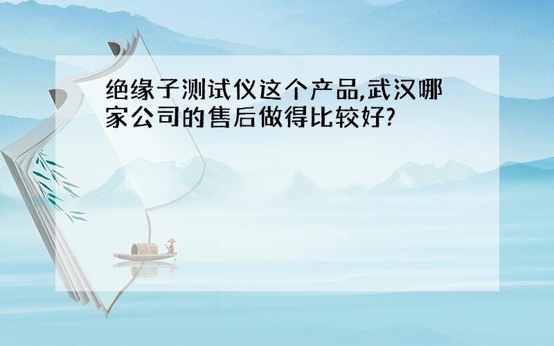 绝缘子测试仪这个产品,武汉哪家公司的售后做得比较好?