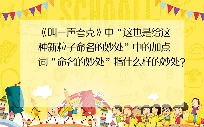 《叫三声夸克》中“这也是给这种新粒子命名的妙处”中的加点词“命名的妙处”指什么样的妙处?