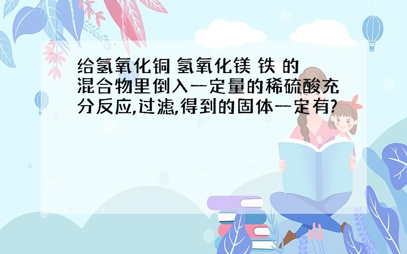 给氢氧化铜 氢氧化镁 铁 的混合物里倒入一定量的稀硫酸充分反应,过滤,得到的固体一定有?