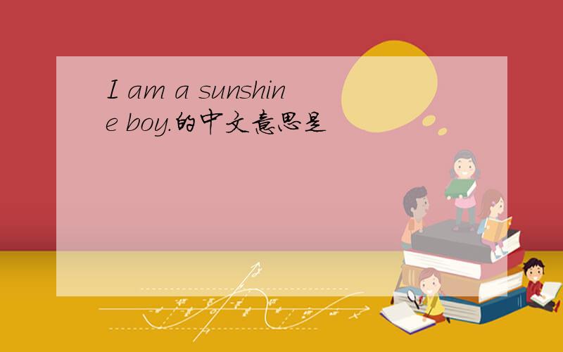 I am a sunshine boy.的中文意思是