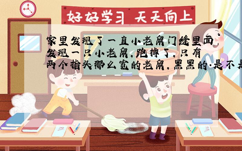 家里发现了一直小老鼠门缝里面发现一只小老鼠,跑掉了,只有两个指头那么宽的老鼠,黑黑的.是不是哪里有了老鼠窝?应该怎么办呢