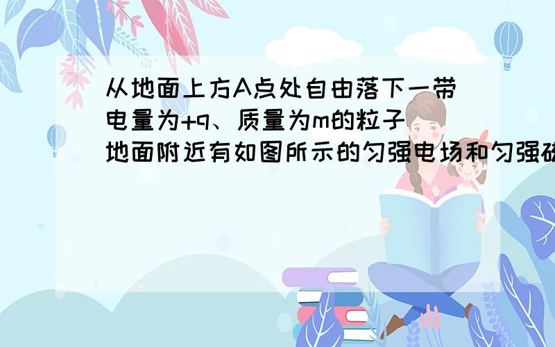 从地面上方A点处自由落下一带电量为+q、质量为m的粒子．地面附近有如图所示的匀强电场和匀强磁场，电场方向水平向右，磁场方