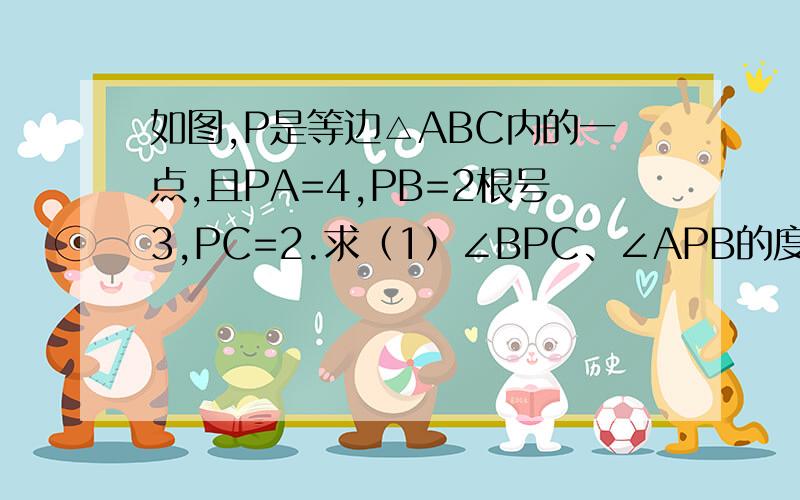 如图,P是等边△ABC内的一点,且PA=4,PB=2根号3,PC=2.求（1）∠BPC、∠APB的度数（2）S△ABC