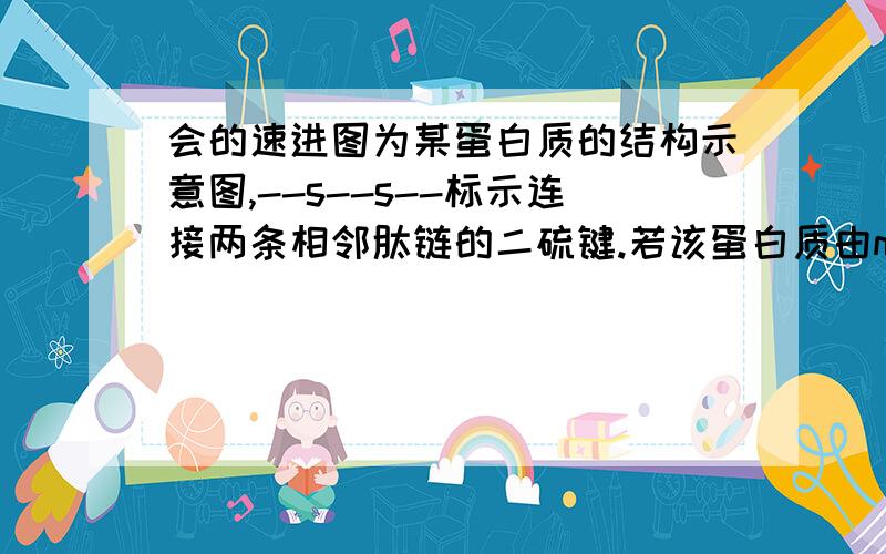 会的速进图为某蛋白质的结构示意图,--s--s--标示连接两条相邻肽链的二硫键.若该蛋白质由m个氨基酸构成,则每摩尔该蛋