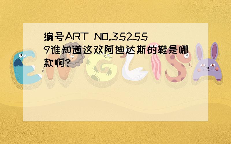 编号ART NO.352559谁知道这双阿迪达斯的鞋是哪款啊?