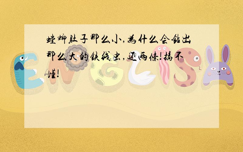 螳螂肚子那么小,为什么会钻出那么大的铁线虫,还两条!搞不懂!