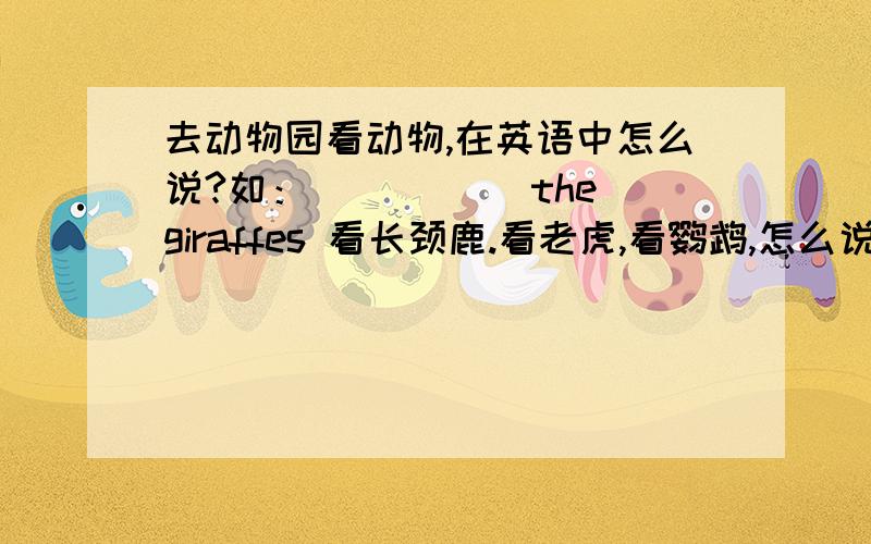 去动物园看动物,在英语中怎么说?如：_____ the giraffes 看长颈鹿.看老虎,看鹦鹉,怎么说?