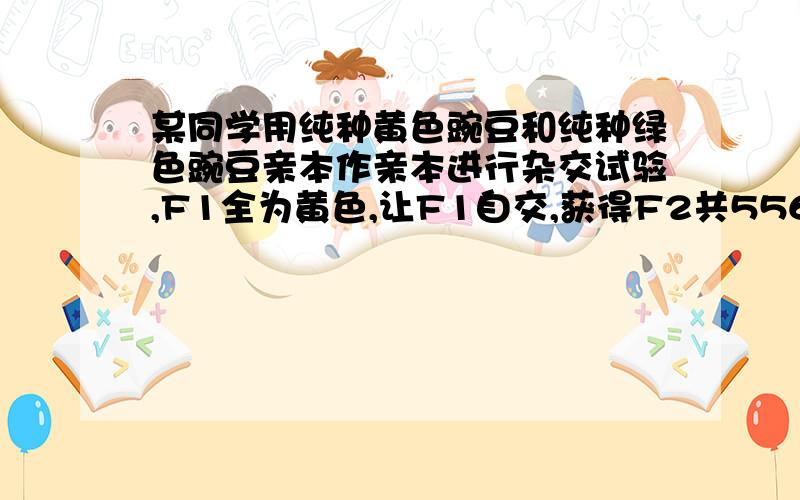 某同学用纯种黄色豌豆和纯种绿色豌豆亲本作亲本进行杂交试验,F1全为黄色,让F1自交,获得F2共556粒种子