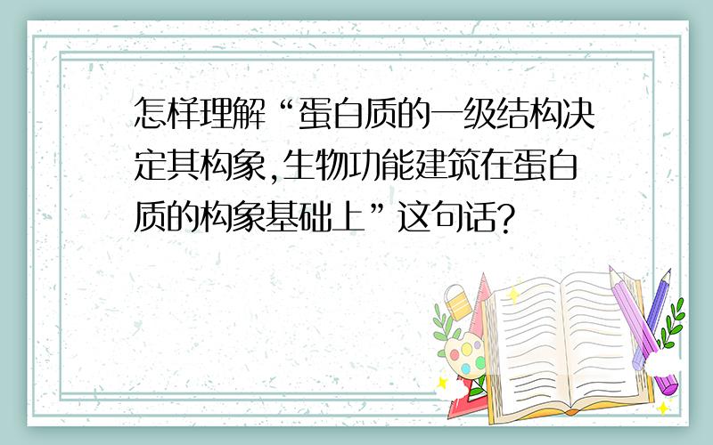 怎样理解“蛋白质的一级结构决定其构象,生物功能建筑在蛋白质的构象基础上”这句话?