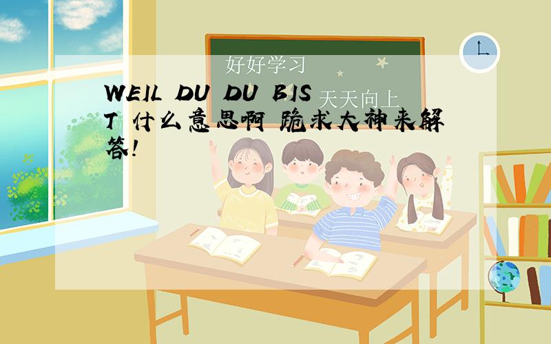 WEIL DU DU BIST 什么意思啊 跪求大神来解答!