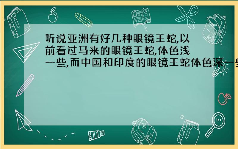 听说亚洲有好几种眼镜王蛇,以前看过马来的眼镜王蛇,体色浅一些,而中国和印度的眼镜王蛇体色深一些,