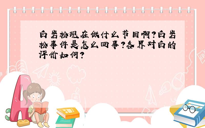 白岩松现在做什么节目啊?白岩松事件是怎么回事?各界对白的评价如何?