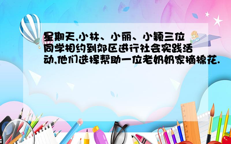 星期天,小林、小丽、小颖三位同学相约到郊区进行社会实践活动,他们选择帮助一位老奶奶家摘棉花.