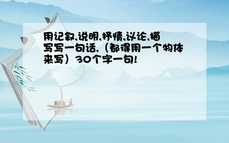 用记叙,说明,抒情,议论,描写写一句话,（都得用一个物体来写）30个字一句!