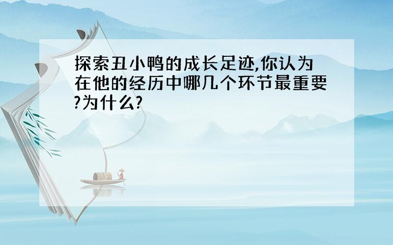 探索丑小鸭的成长足迹,你认为在他的经历中哪几个环节最重要?为什么?