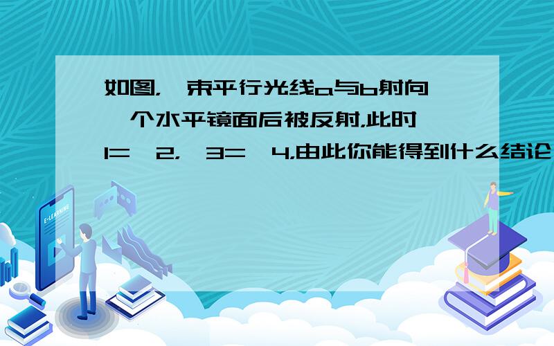 如图，一束平行光线a与b射向一个水平镜面后被反射，此时∠1=∠2，∠3=∠4，由此你能得到什么结论？试说明你的理由．