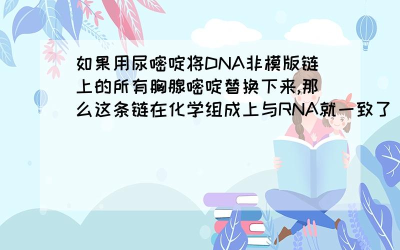 如果用尿嘧啶将DNA非模版链上的所有胸腺嘧啶替换下来,那么这条链在化学组成上与RNA就一致了