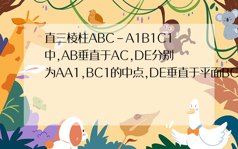 直三棱柱ABC-A1B1C1中,AB垂直于AC,DE分别为AA1,BC1的中点,DE垂直于平面BCC1,证明AB＝AC