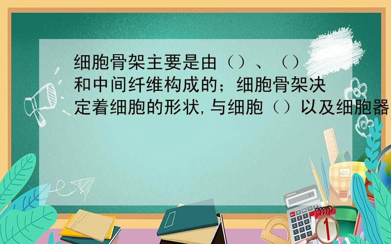 细胞骨架主要是由（）、（） 和中间纤维构成的；细胞骨架决定着细胞的形状,与细胞（）以及细胞器在细胞内的（）有关.