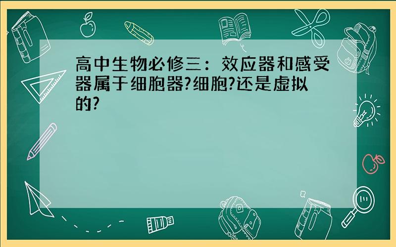 高中生物必修三：效应器和感受器属于细胞器?细胞?还是虚拟的?