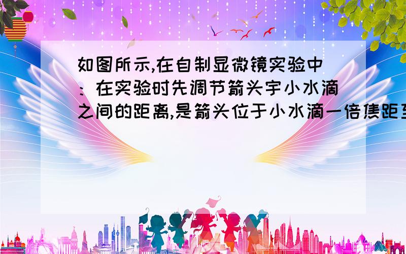 如图所示,在自制显微镜实验中：在实验时先调节箭头宇小水滴之间的距离,是箭头位于小水滴一倍焦距至两倍焦距之间,这样才能成（