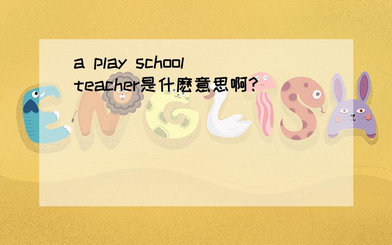 a play school teacher是什麽意思啊?