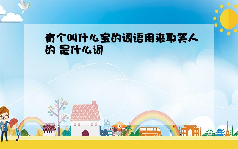 有个叫什么宝的词语用来取笑人的 是什么词