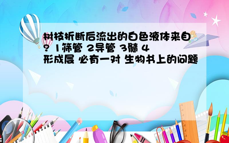 树枝折断后流出的白色液体来自? 1筛管 2导管 3髓 4形成层 必有一对 生物书上的问题