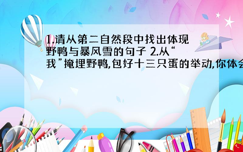 1.请从第二自然段中找出体现野鸭与暴风雪的句子 2.从“我”掩埋野鸭,包好十三只蛋的举动,你体会到了什么