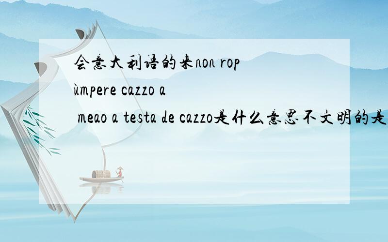 会意大利语的来non ropùmpere cazzo a meao a testa de cazzo是什么意思不文明的是