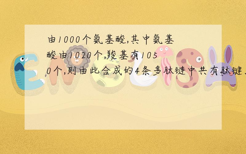 由1000个氨基酸,其中氨基酸由1020个,羧基有1050个,则由此合成的4条多肽链中共有肽键、氨基、羧基的数目