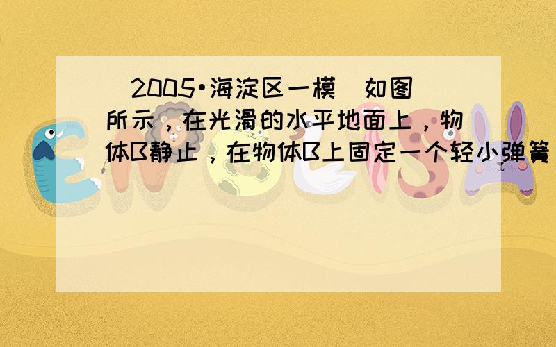 （2005•海淀区一模）如图所示，在光滑的水平地面上，物体B静止，在物体B上固定一个轻小弹簧．物体A以一定初速度沿水平方