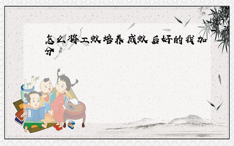 怎么将工蚁培养成蚁后好的我加分