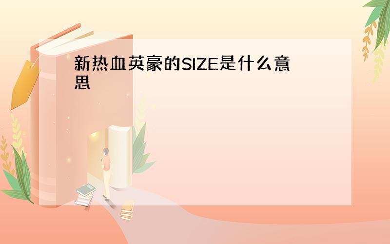 新热血英豪的SIZE是什么意思