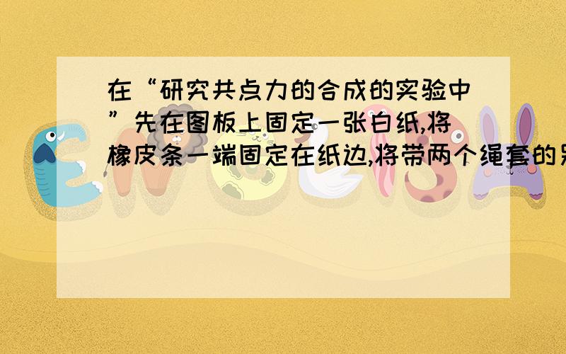 在“研究共点力的合成的实验中”先在图板上固定一张白纸,将橡皮条一端固定在纸边,将带两个绳套的另一端放在纸面上,测力计可以