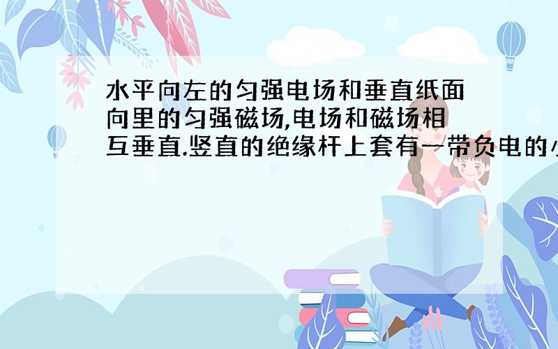 水平向左的匀强电场和垂直纸面向里的匀强磁场,电场和磁场相互垂直.竖直的绝缘杆上套有一带负电的小环,