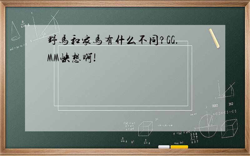 野马和家马有什么不同?GG.MM快想啊!