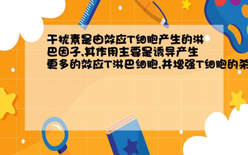 干扰素是由效应T细胞产生的淋巴因子,其作用主要是诱导产生更多的效应T淋巴细胞,并增强T细胞的杀伤力对吗