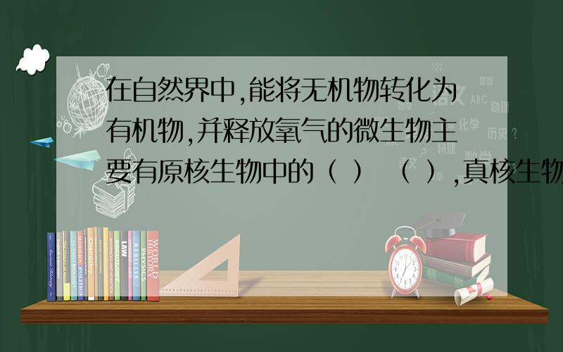 在自然界中,能将无机物转化为有机物,并释放氧气的微生物主要有原核生物中的（ ） （ ）,真核生物钟的（ ） .