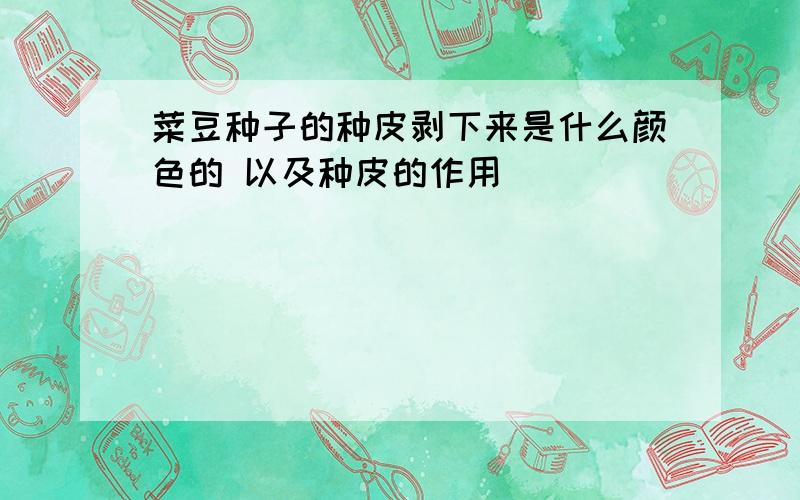 菜豆种子的种皮剥下来是什么颜色的 以及种皮的作用