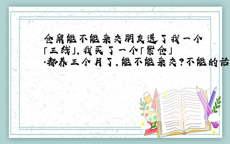 仓鼠能不能杂交朋友送了我一个「三线」,我买了一个「紫仓」.都养三个月了,能不能杂交?不能的话买三线还是紫仓?〖别给我说不